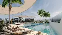46554.webp